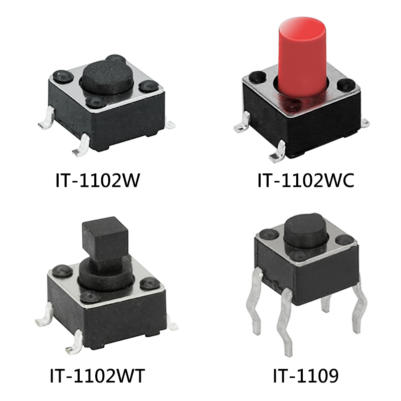 IT-1109S-160G-G Switronic Industrial